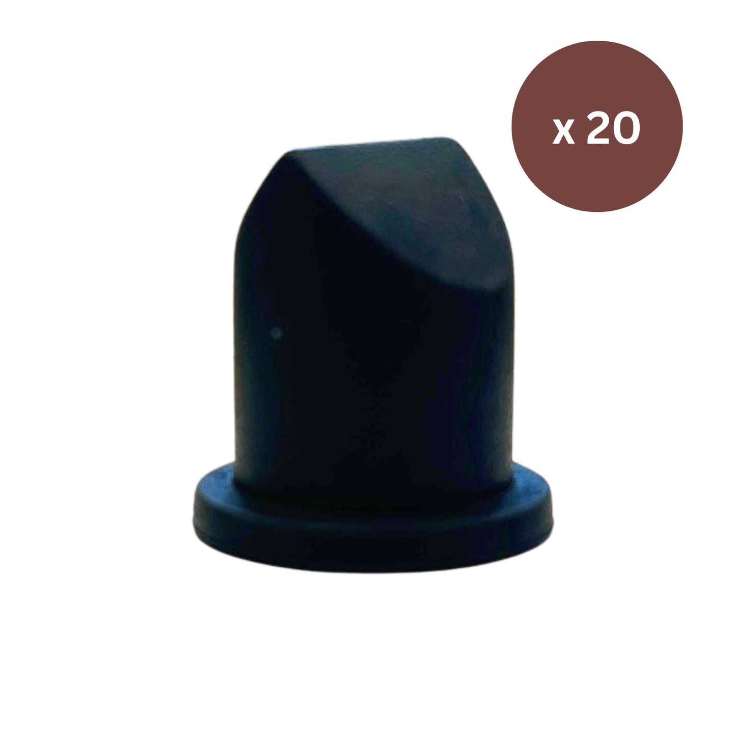 Gas Non Return Valve