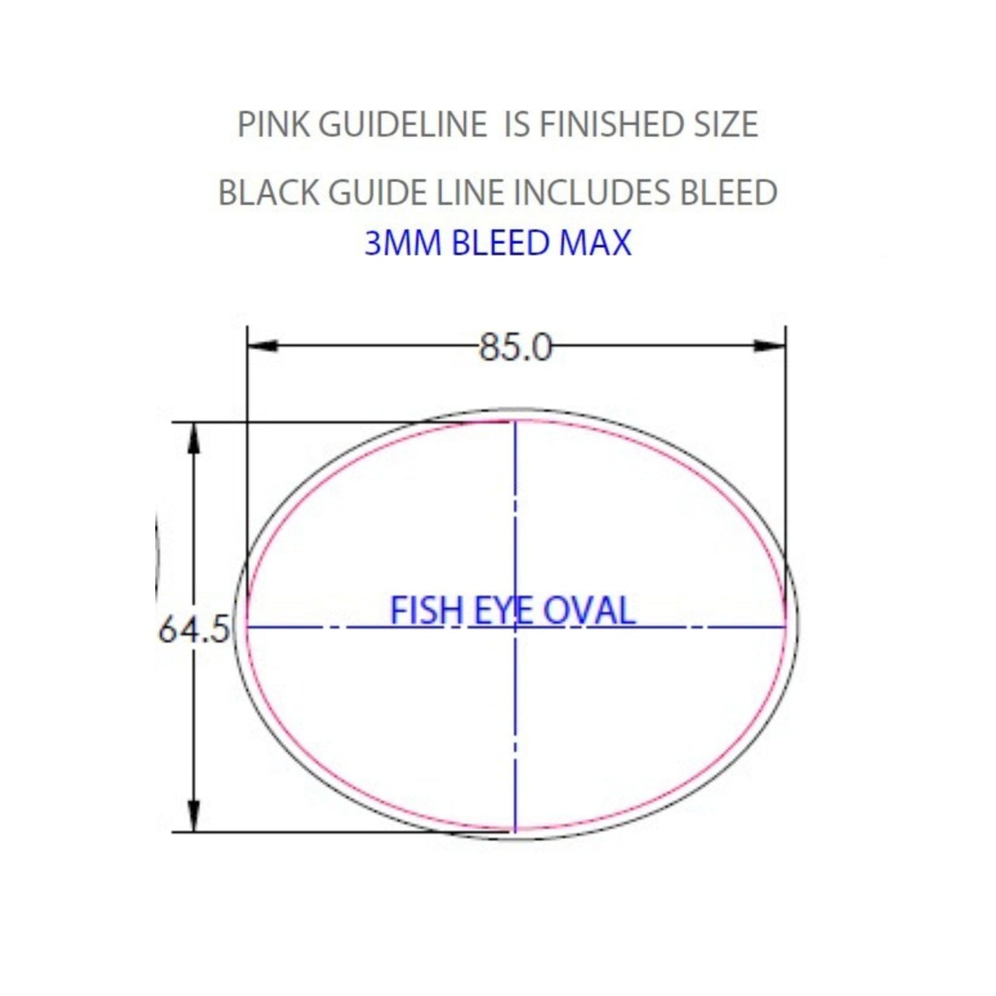 Clear Badge & Gasket Set - Oval